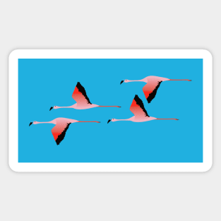 Flying flamingos Sticker